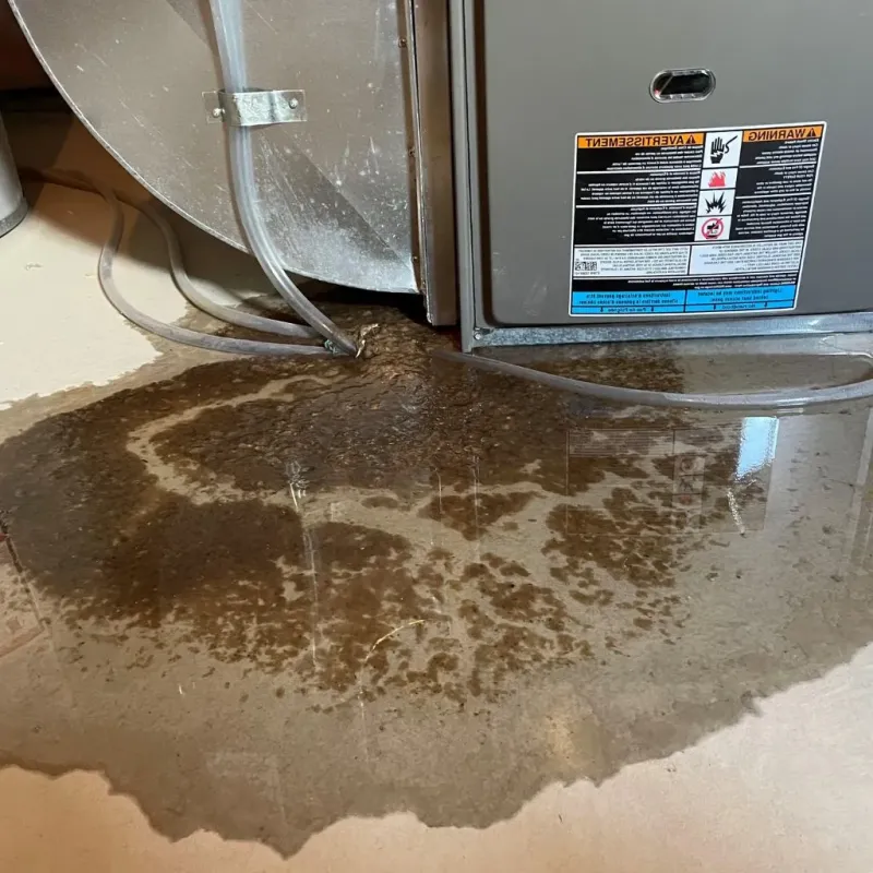 Pipe Burst and Leak Restoration in Minot Air Force Base, ND