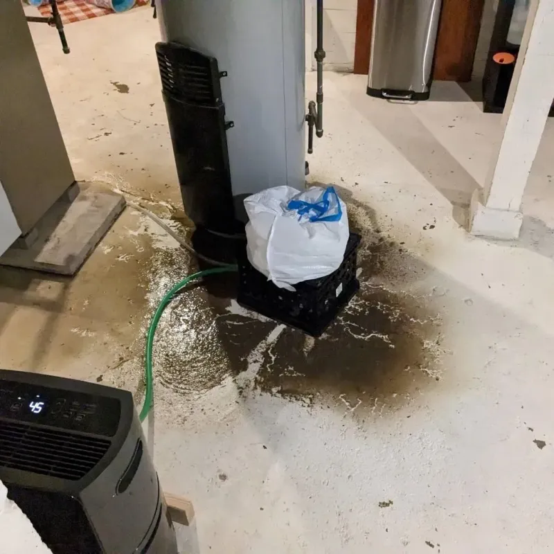 Sewage Backup Cleanup Service in Minot Air Force Base, ND
